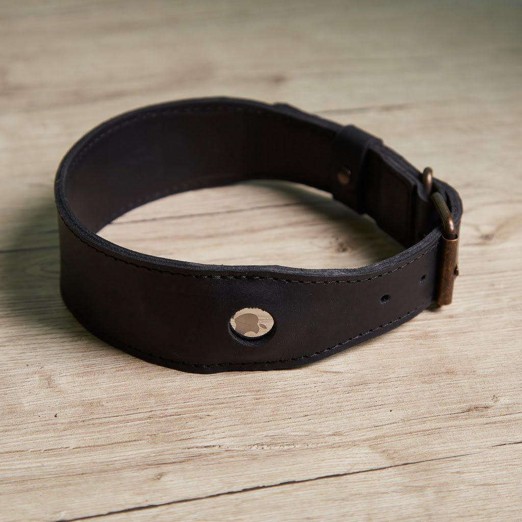 Skórzana obroża Air Collar dla średnich ras psów z uchwytem AirTag