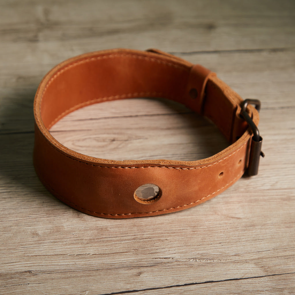 Skórzana obroża Air Collar dla średnich ras psów z uchwytem AirTag