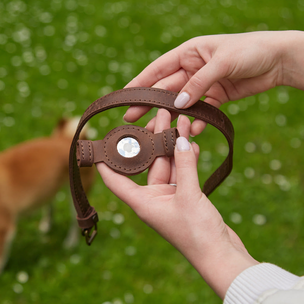 Collar de cuero Tiny Air Collar para cachorros, perros pequeños y medianos