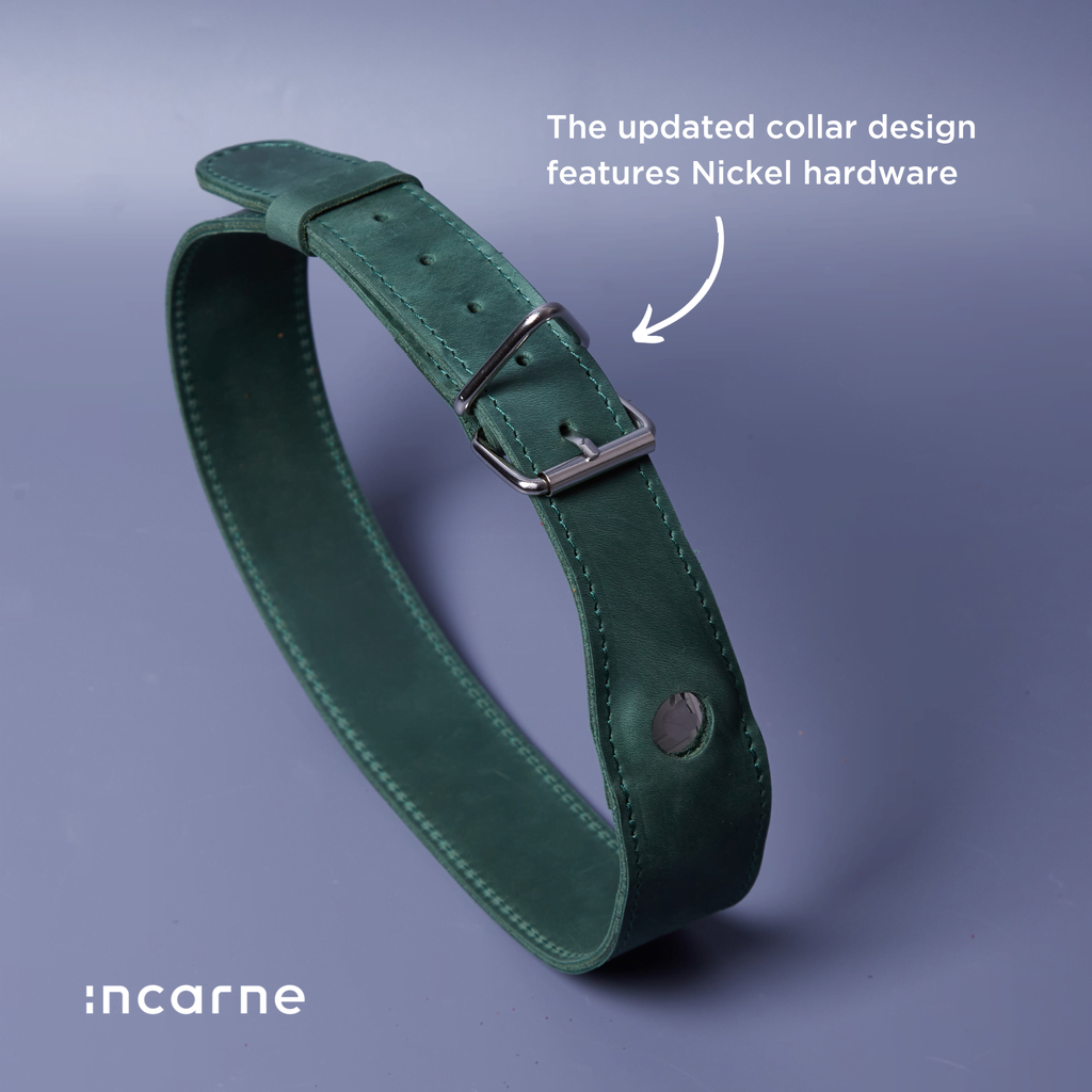 Skórzana obroża Air Collar dla średnich ras psów z uchwytem AirTag