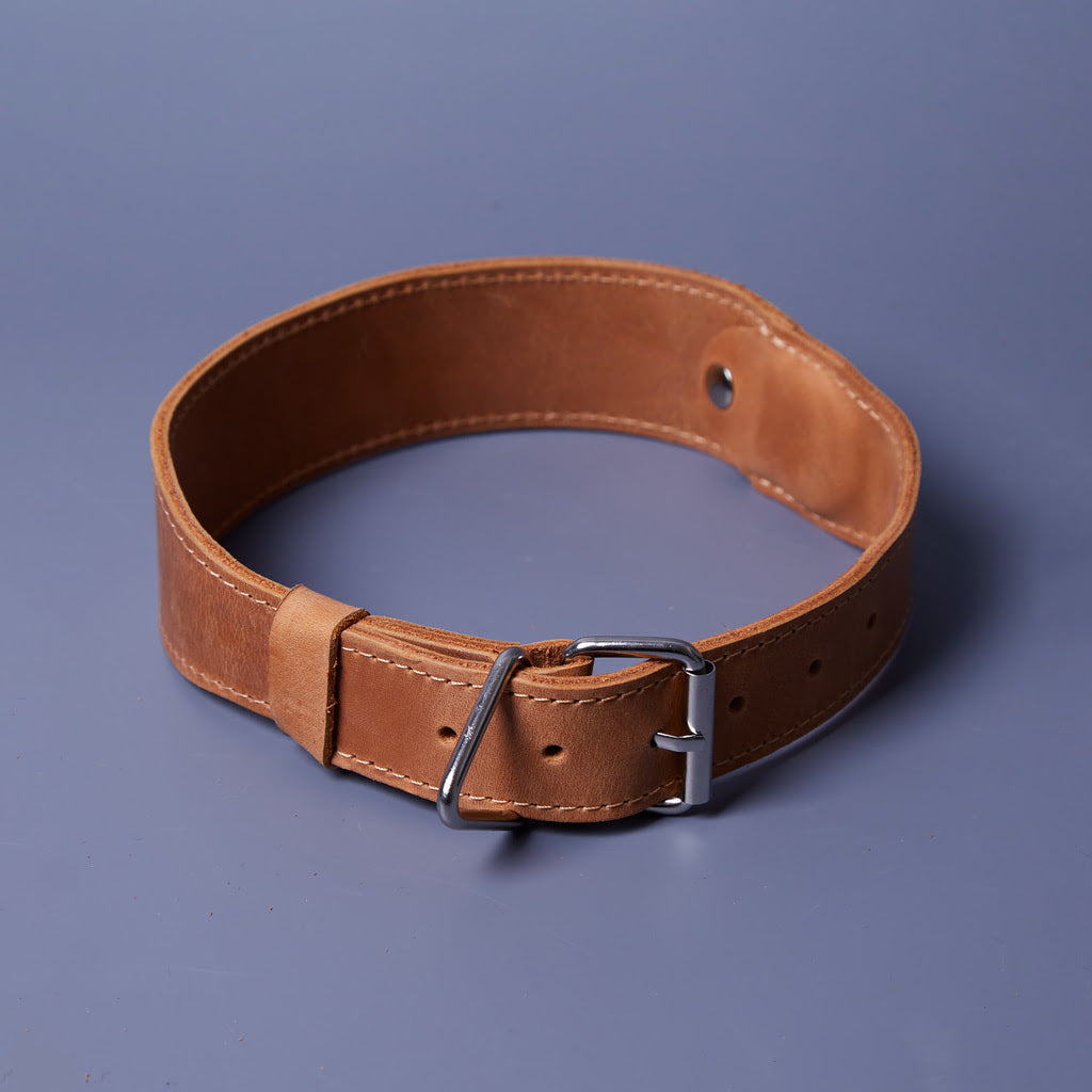 Skórzana obroża Air Collar dla średnich ras psów z uchwytem AirTag