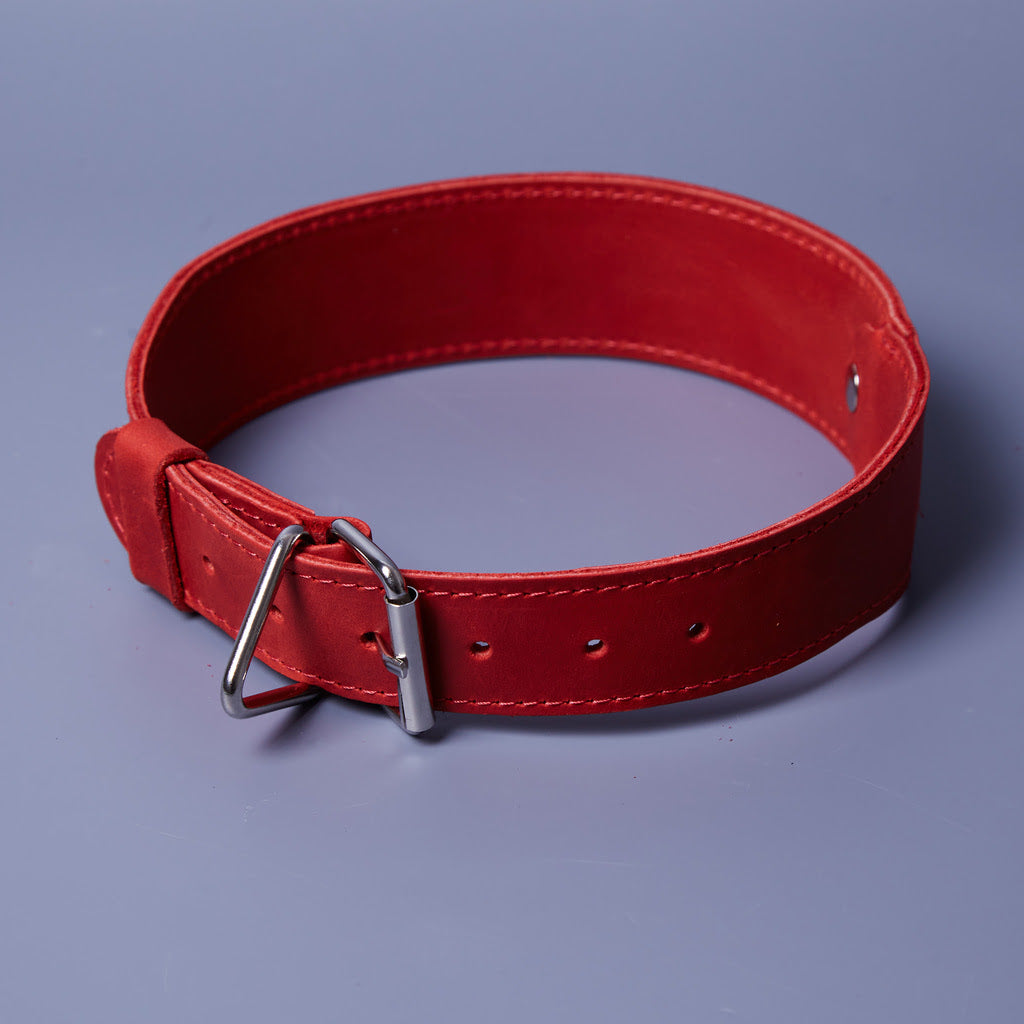 Skórzana obroża Air Collar dla średnich ras psów z uchwytem AirTag