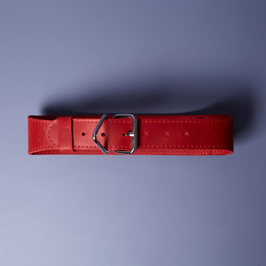 Skórzana obroża Air Collar dla średnich ras psów z uchwytem AirTag