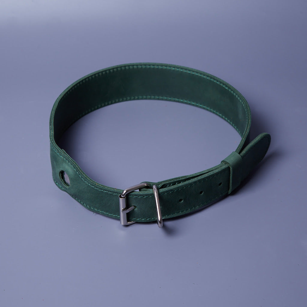 Skórzana obroża Air Collar dla średnich ras psów z uchwytem AirTag